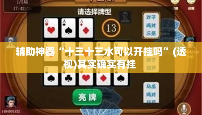 辅助神器“十三十三水可以开挂吗”(透视)其实确实有挂 