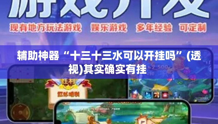 辅助神器“十三十三水可以开挂吗”(透视)其实确实有挂 