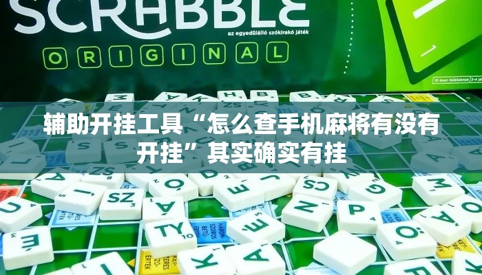 辅助开挂工具“怎么查手机麻将有没有开挂”其实确实有挂