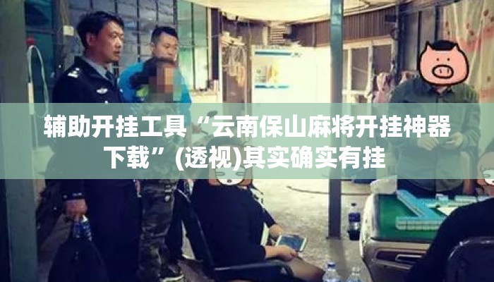 辅助开挂工具“云南保山麻将开挂神器下载”(透视)其实确实有挂 