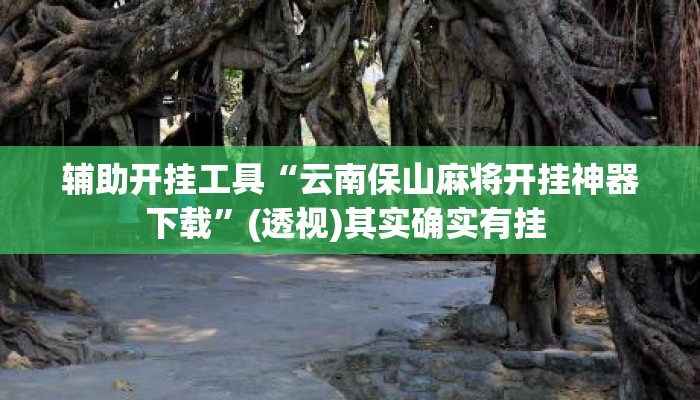 辅助开挂工具“云南保山麻将开挂神器下载”(透视)其实确实有挂 