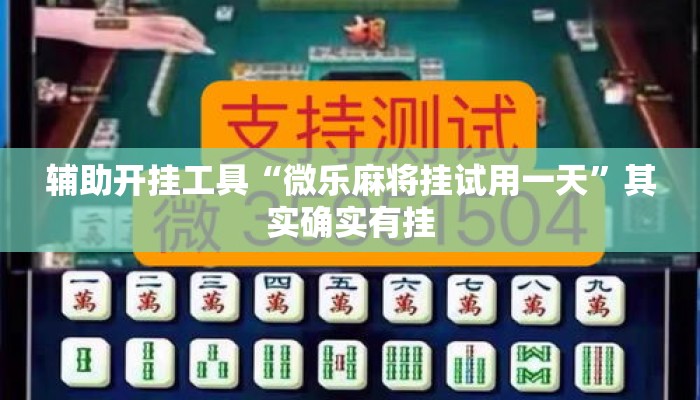 辅助开挂工具“微乐麻将挂试用一天	”其实确实有挂