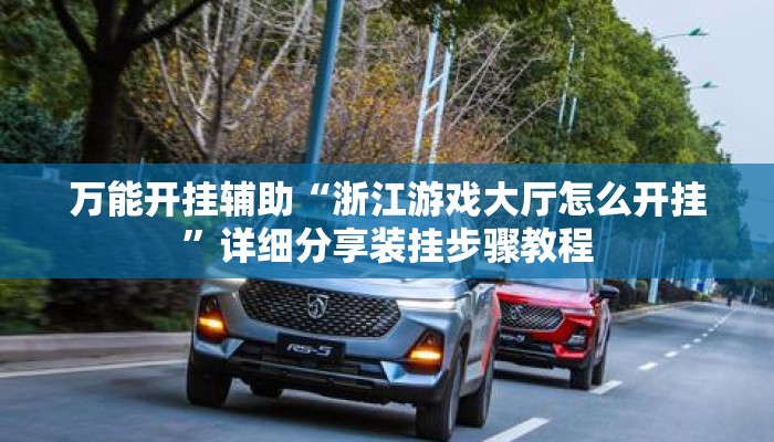 万能开挂辅助“浙江游戏大厅怎么开挂”详细分享装挂步骤教程