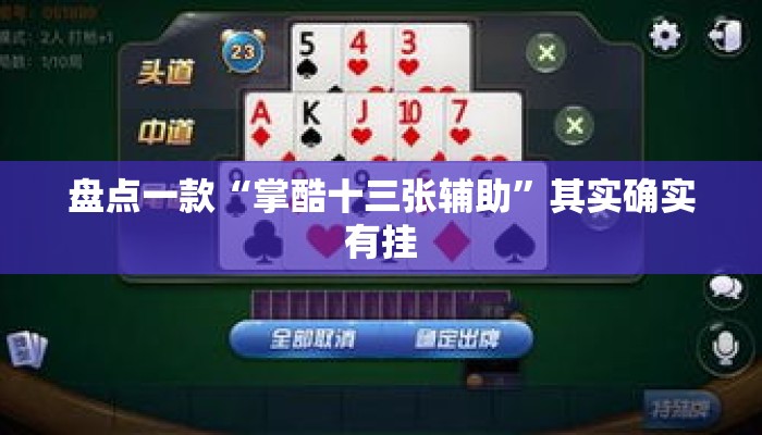 盘点一款“掌酷十三张辅助	”其实确实有挂