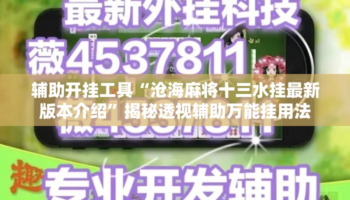 辅助开挂工具“沧海麻将十三水挂最新版本介绍”揭秘透视辅助万能挂用法