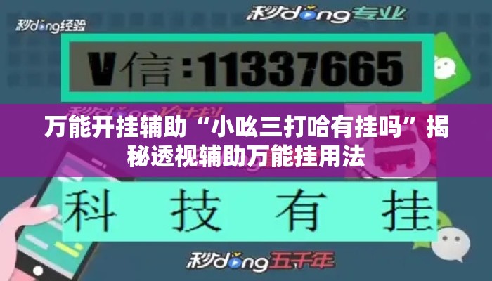 万能开挂辅助“小吆三打哈有挂吗”揭秘透视辅助万能挂用法