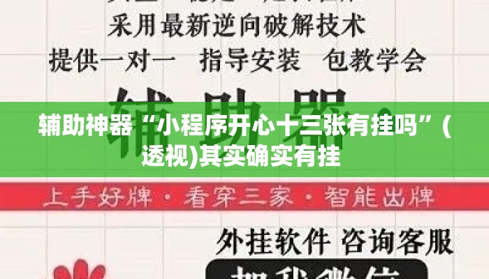 辅助神器“小程序开心十三张有挂吗”(透视)其实确实有挂 