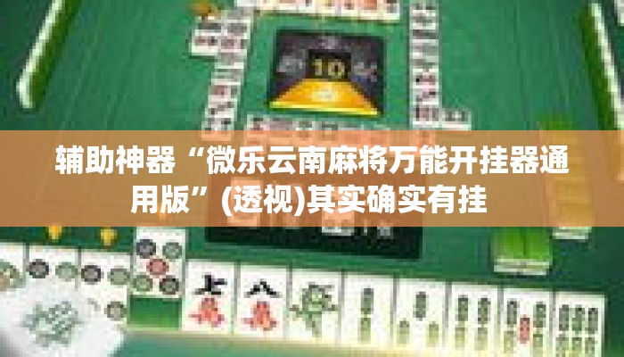 辅助神器“微乐云南麻将万能开挂器通用版	”(透视)其实确实有挂 