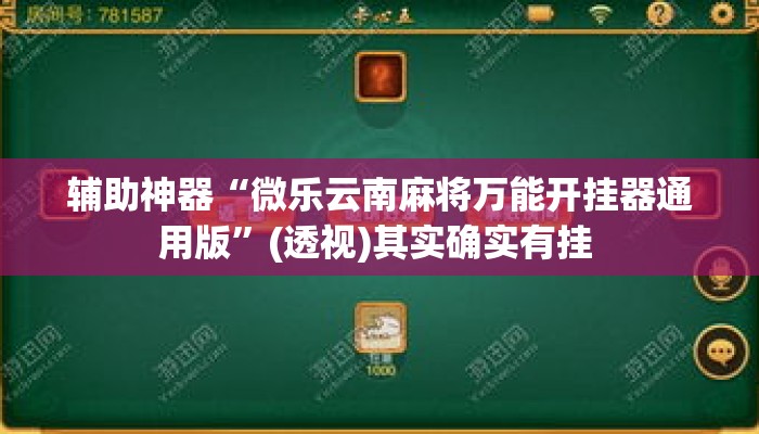 辅助神器“微乐云南麻将万能开挂器通用版”(透视)其实确实有挂 