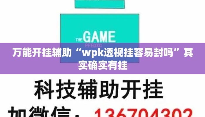 万能开挂辅助“wpk透视挂容易封吗”其实确实有挂