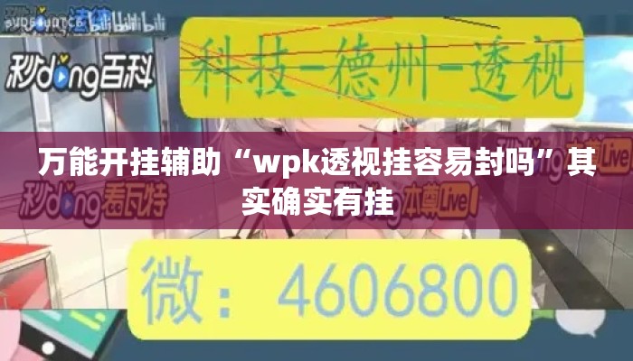 万能开挂辅助“wpk透视挂容易封吗	”其实确实有挂