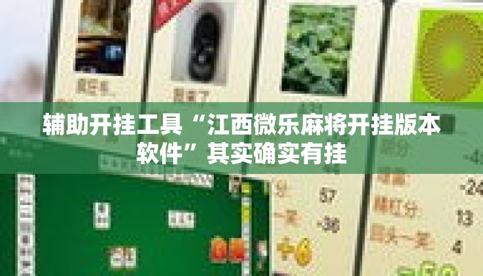 辅助开挂工具“江西微乐麻将开挂版本软件”其实确实有挂