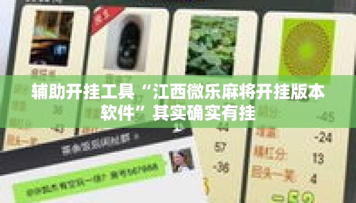 辅助开挂工具“江西微乐麻将开挂版本软件	”其实确实有挂