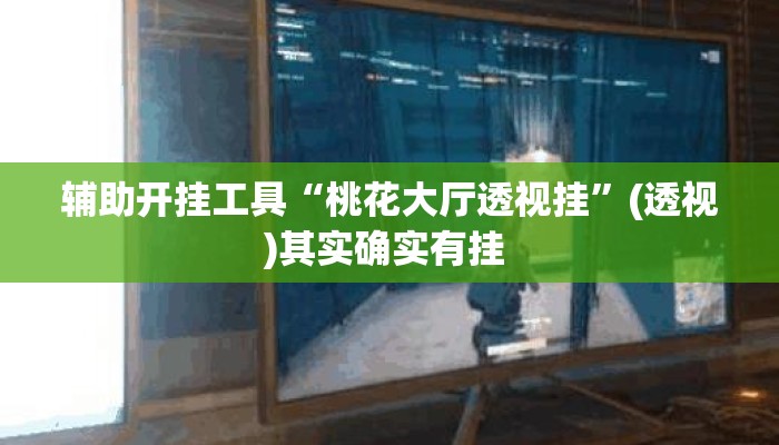 辅助开挂工具“桃花大厅透视挂	”(透视)其实确实有挂 