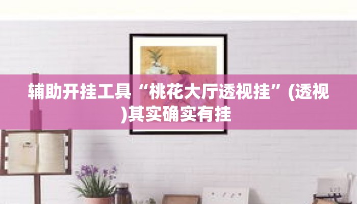 辅助开挂工具“桃花大厅透视挂”(透视)其实确实有挂 