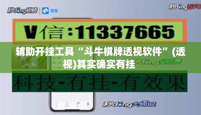 辅助开挂工具“斗牛棋牌透视软件”(透视)其实确实有挂 