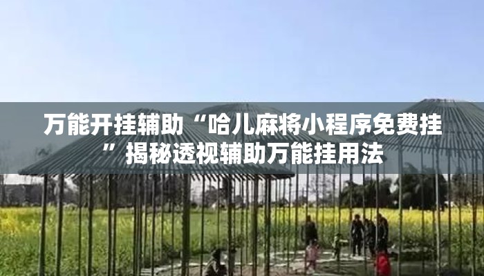 万能开挂辅助“哈儿麻将小程序免费挂”揭秘透视辅助万能挂用法