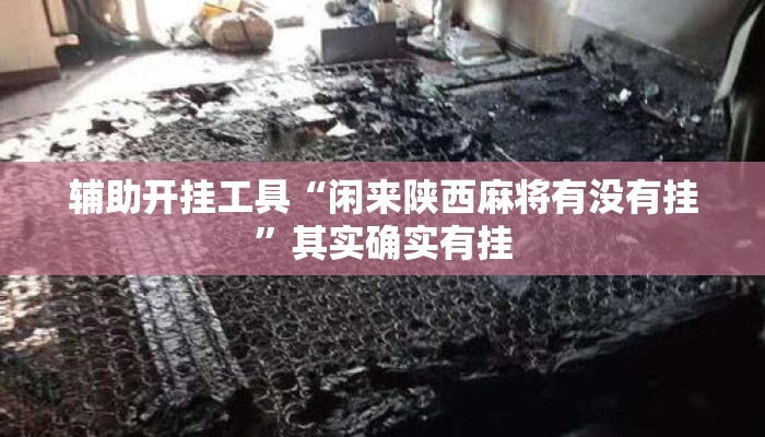 辅助开挂工具“闲来陕西麻将有没有挂”其实确实有挂