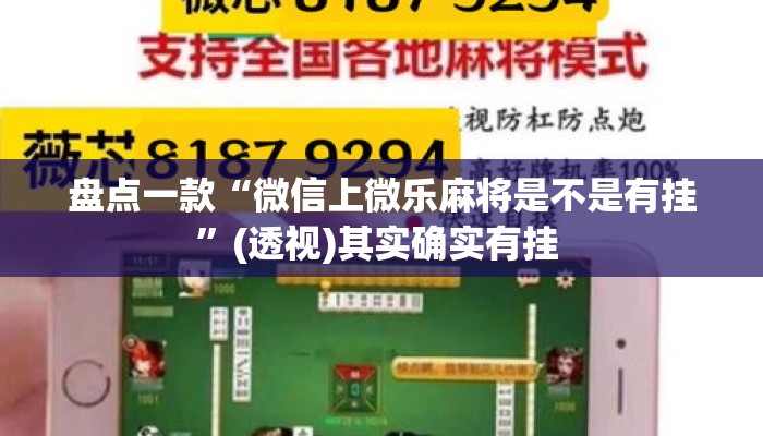 盘点一款“微信上微乐麻将是不是有挂”(透视)其实确实有挂 