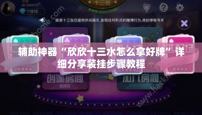 辅助神器“欣欣十三水怎么拿好牌”详细分享装挂步骤教程