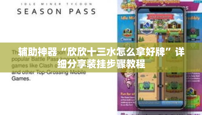 辅助神器“欣欣十三水怎么拿好牌”详细分享装挂步骤教程