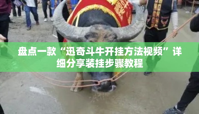 盘点一款“迅奇斗牛开挂方法视频	”详细分享装挂步骤教程