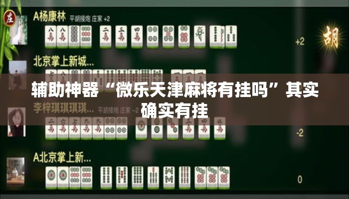 辅助神器“微乐天津麻将有挂吗”其实确实有挂