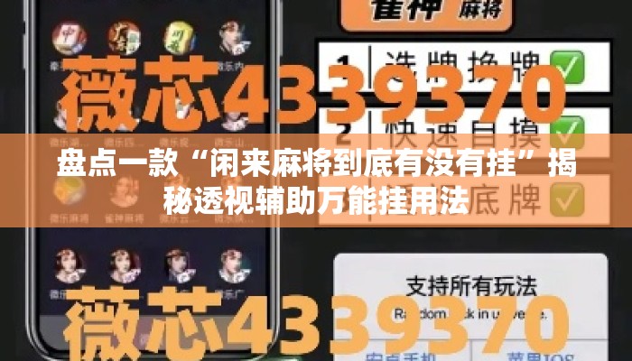 盘点一款“闲来麻将到底有没有挂	”揭秘透视辅助万能挂用法