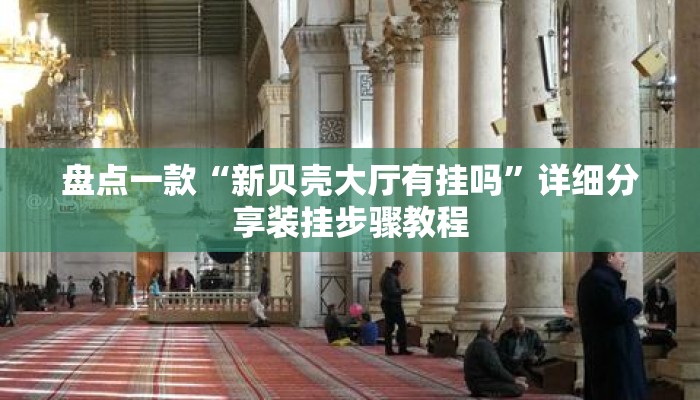 盘点一款“新贝壳大厅有挂吗”详细分享装挂步骤教程