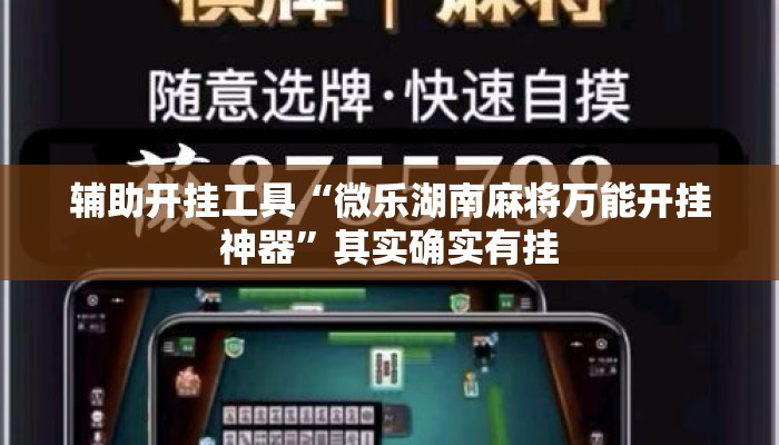 辅助开挂工具“微乐湖南麻将万能开挂神器”其实确实有挂
