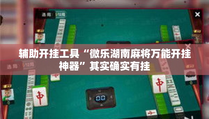辅助开挂工具“微乐湖南麻将万能开挂神器	”其实确实有挂
