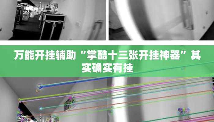 万能开挂辅助“掌酷十三张开挂神器”其实确实有挂