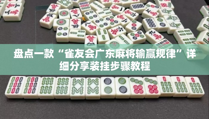 盘点一款“雀友会广东麻将输赢规律	”详细分享装挂步骤教程