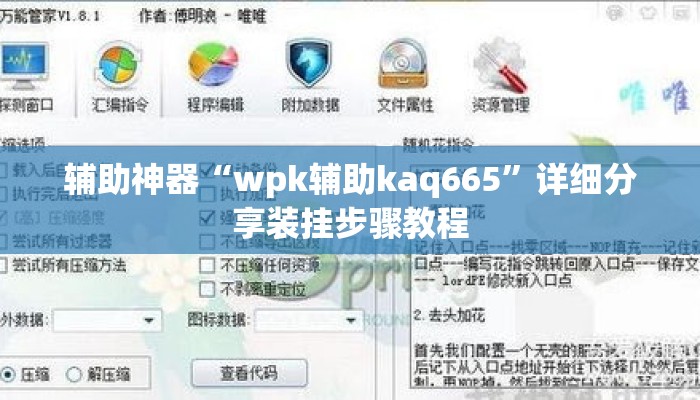辅助神器“wpk辅助kaq665”详细分享装挂步骤教程