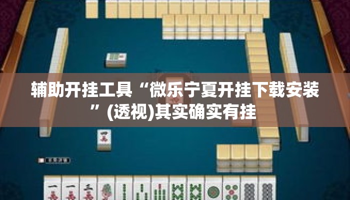 辅助开挂工具“微乐宁夏开挂下载安装	”(透视)其实确实有挂 