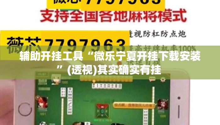 辅助开挂工具“微乐宁夏开挂下载安装”(透视)其实确实有挂 