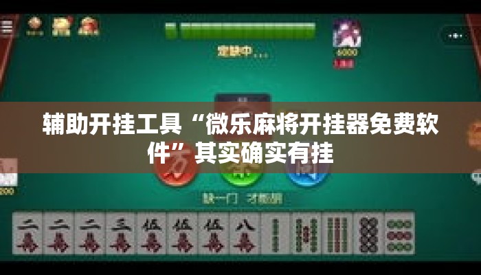 辅助开挂工具“微乐麻将开挂器免费软件	”其实确实有挂