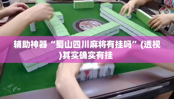 辅助神器“蜀山四川麻将有挂吗”(透视)其实确实有挂 