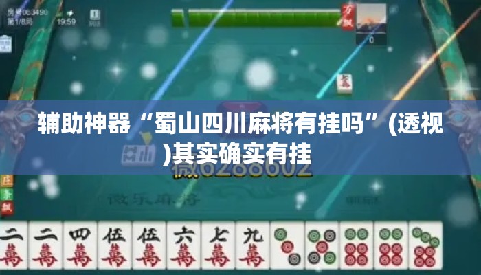 辅助神器“蜀山四川麻将有挂吗”(透视)其实确实有挂 