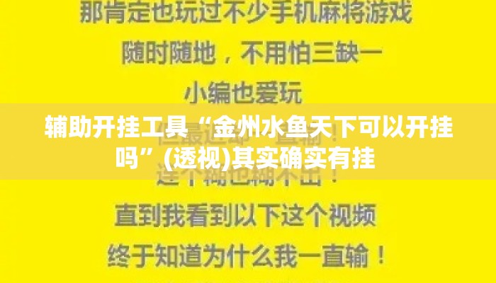 辅助开挂工具“金州水鱼天下可以开挂吗”(透视)其实确实有挂 