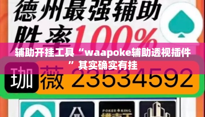 辅助开挂工具“waapoke辅助透视插件”其实确实有挂