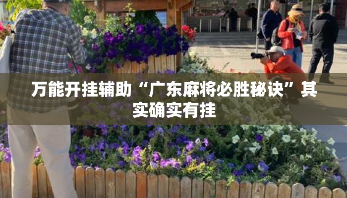 万能开挂辅助“广东麻将必胜秘诀”其实确实有挂