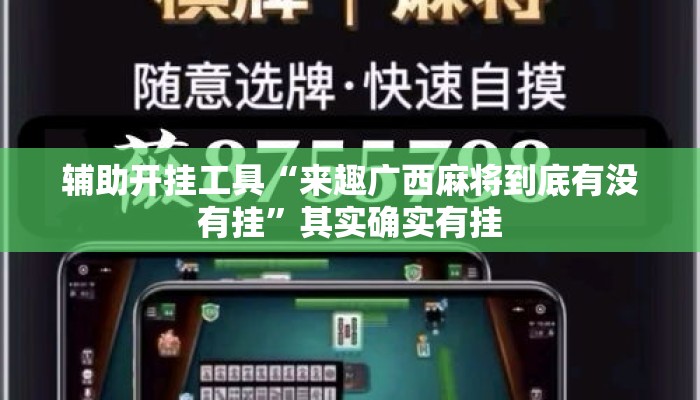 辅助开挂工具“来趣广西麻将到底有没有挂”其实确实有挂