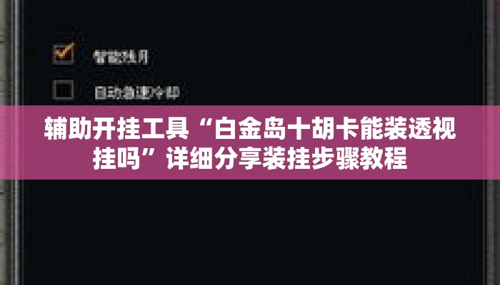 辅助开挂工具“白金岛十胡卡能装透视挂吗”详细分享装挂步骤教程