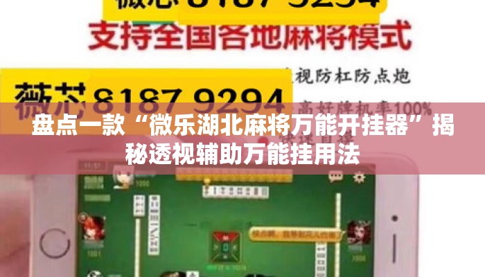 盘点一款“微乐湖北麻将万能开挂器”揭秘透视辅助万能挂用法
