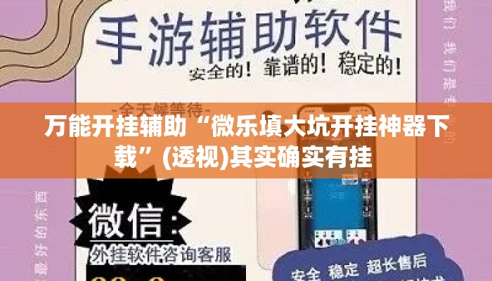 万能开挂辅助“微乐填大坑开挂神器下载	”(透视)其实确实有挂 