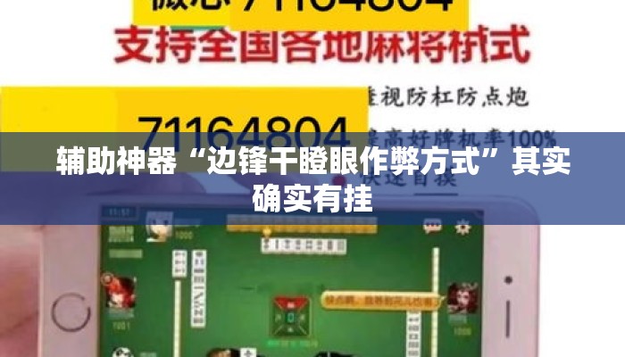 辅助神器“边锋干瞪眼作弊方式”其实确实有挂
