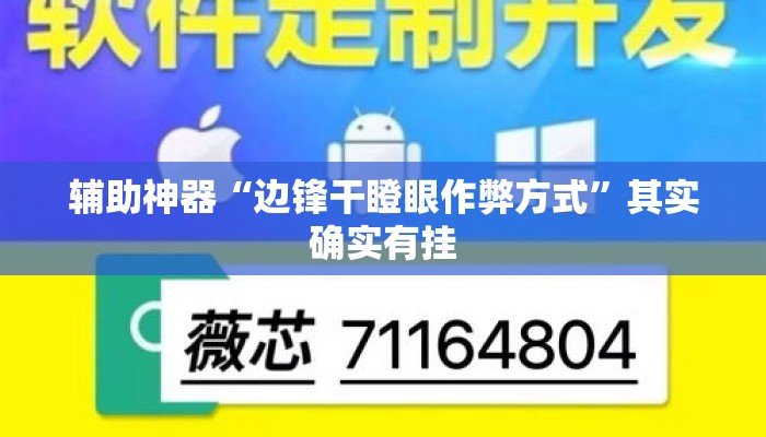 辅助神器“边锋干瞪眼作弊方式	”其实确实有挂
