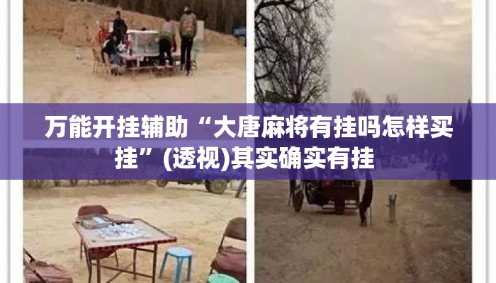 万能开挂辅助“大唐麻将有挂吗怎样买挂”(透视)其实确实有挂 