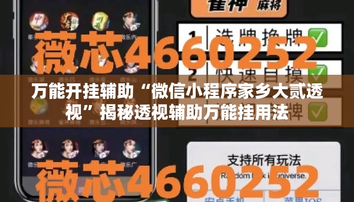 万能开挂辅助“微信小程序家乡大贰透视”揭秘透视辅助万能挂用法